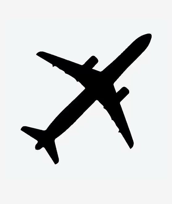 طارت الطيارة