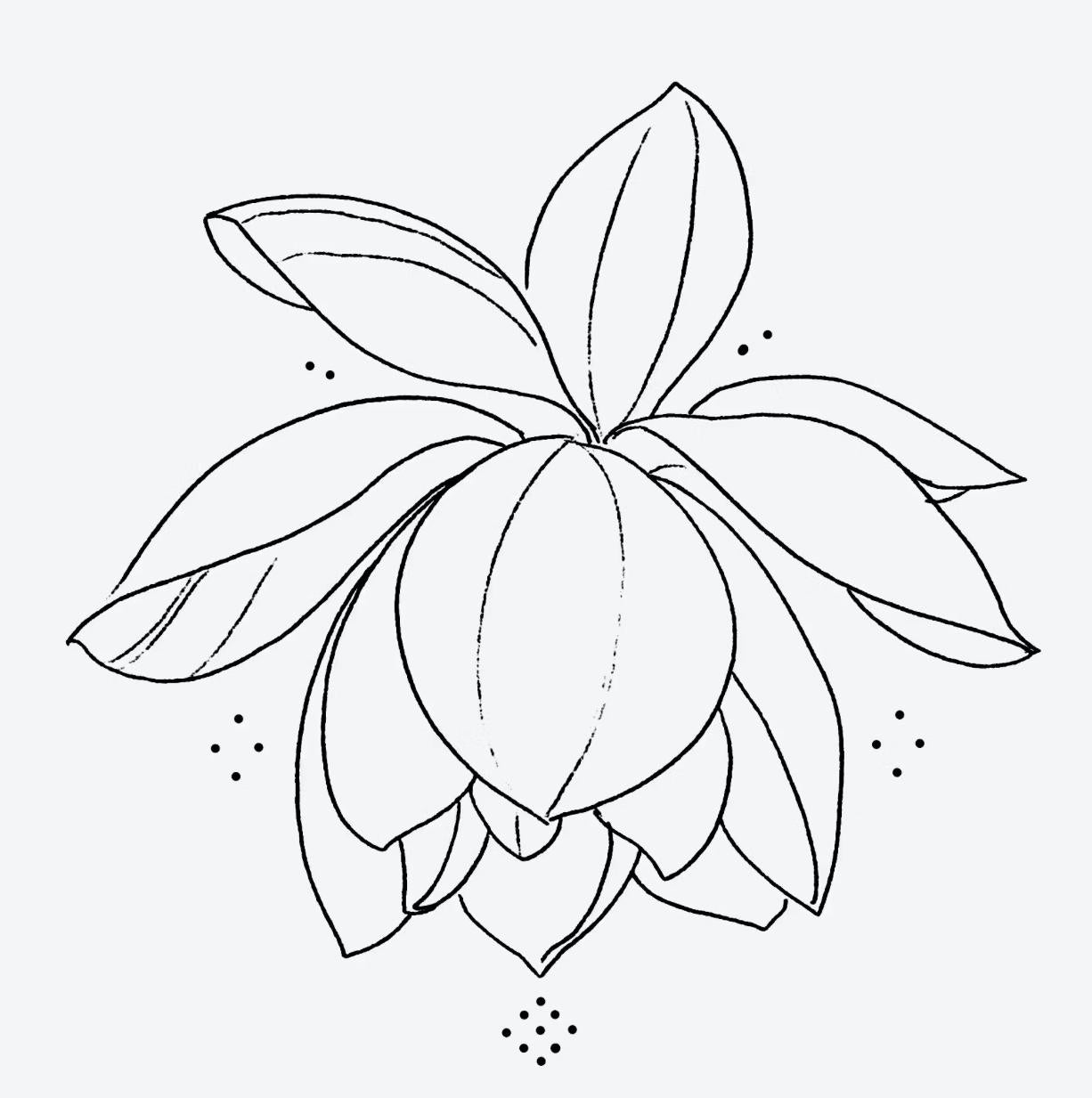 فوق او تحت تبقى وردة